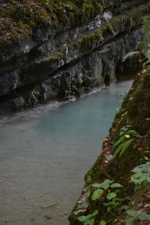 Combe du Grenand - Cascades (73)