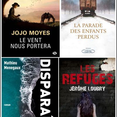 "Pour voyager loin, il n'y a pas de meilleur navire qu'un livre." (Emily Dickinson)