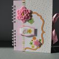 Mini album naissance