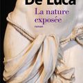 La nature exposée de Erri de Luca