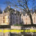 Dimanche 15 juin à Azay-le-Rideau, VTT et marche, pour une action caritative...