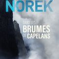 Olivier Norek "Dans les brumes de Capelans"