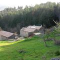 Présentation de la ferme