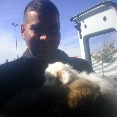 Notre beau caid Photo du jour Naissance de 7