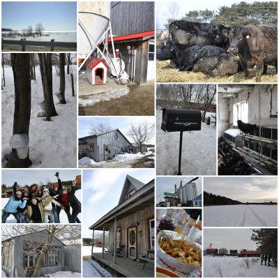 Cabane à sucre