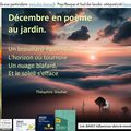 ☃️ Décembre en Poème. Paysagiste Pays Basque et Paysagiste Landes.