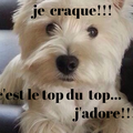idées fascinantes!