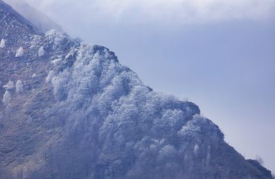 Petite gelée dans les cimes