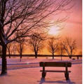 PLAISIRS D'HIVER Quelle belle neige ! nous allons