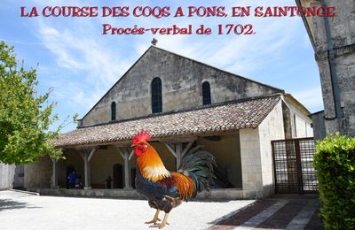 LA COURSE DES COQS A PONS, EN SAINTONGE. Procès-verbal de 1702. 