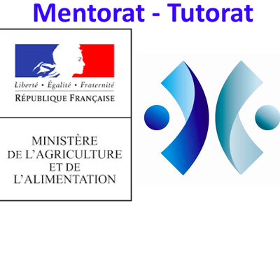 MENTORAT - TUTORAT ECTI POUR LES JEUNES DE 800 ÉTABLISSEMENTS