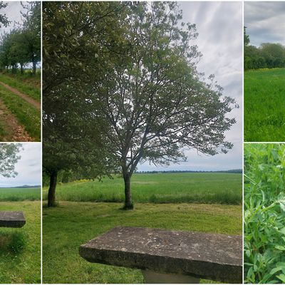 Sur la route...