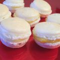 Macarons noix de coco-mangue et noix de coco-jasmin, j'ai pas réussi à mettre le miel ! ;)