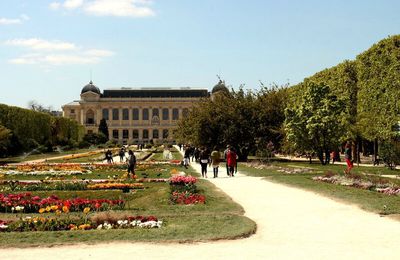 Promenade au Jardin des Plantes