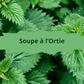 01/1- La Soupe à l'Ortie...