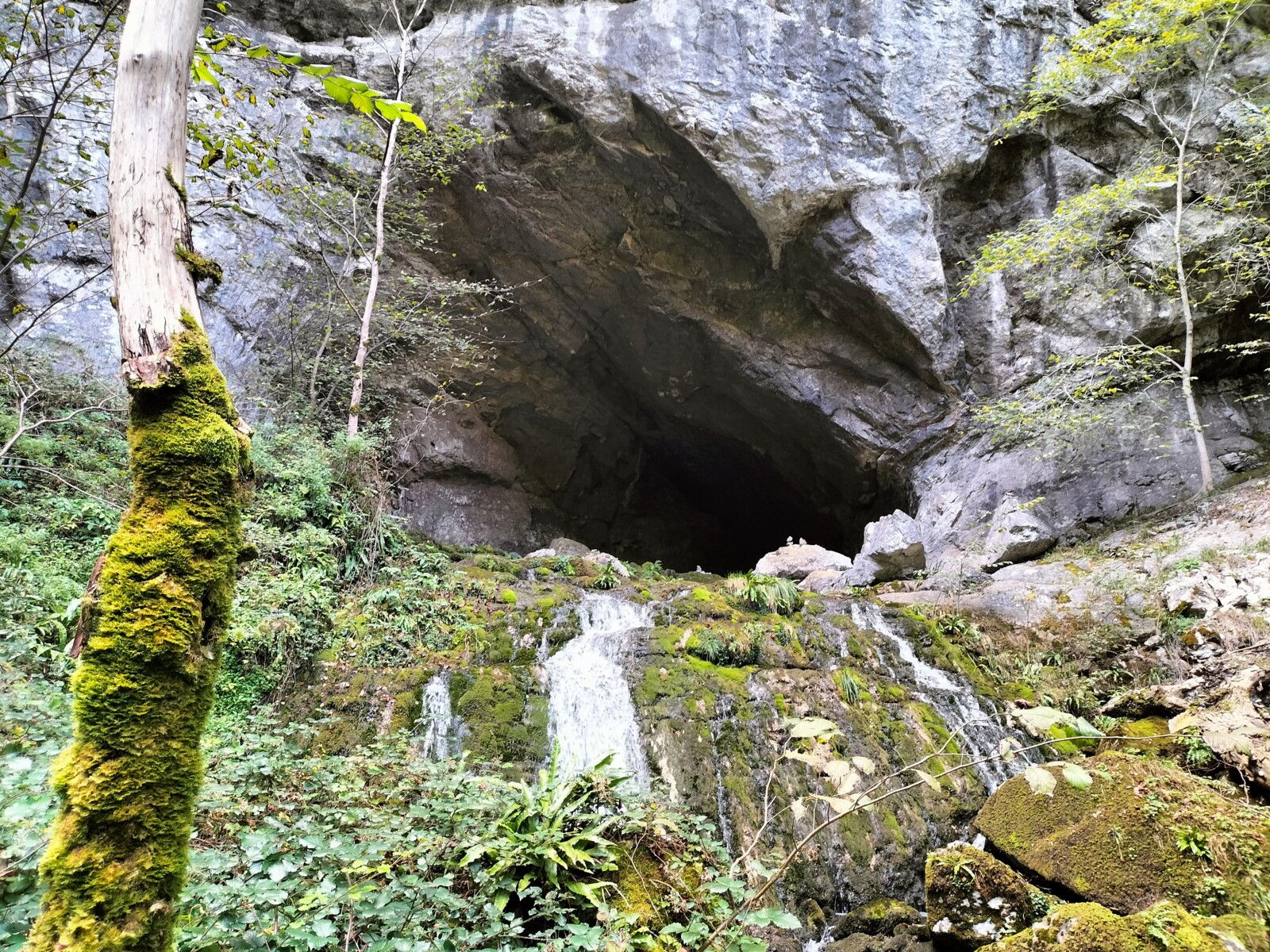 Sources de la Bidouze, sentier, arrivée à la grotte, vue d'en bas.. (64)