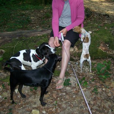 semaine du 15 au 21 juillet, première partie