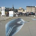 "Baleine échouée sur la plage...??!!??!!"