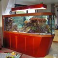 Première photos de l'aquarium orange