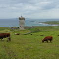 Road trip sur la Wild Atlantic Way - Tralee et les Cliffs of Moher