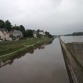 Loire grise