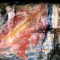 14 novembre 2013 : Kakadu National Park - Peintures rupestres aborigènes d'Ubirr (fin)