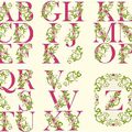 Alphabet Fleuri - 48 points