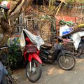 Chiang Mai - scooter ou vélo ?