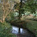 Le Parc de Rouelles en Octobre