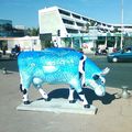 Vache 1