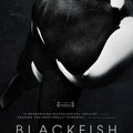 Arte diffuse Blackfish, un documentaire choc contre la captivité des orques