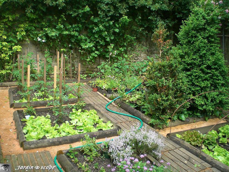 Potager en carrés