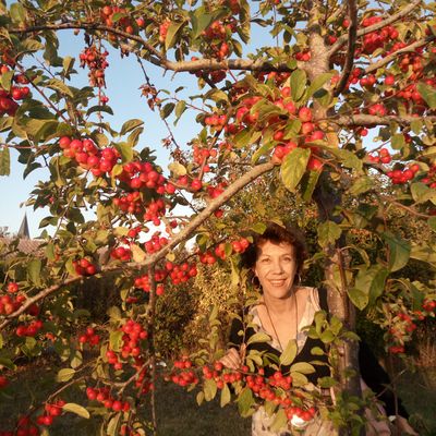 Dans les pommes d'automne