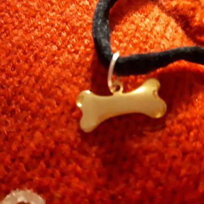Collier pour chien 