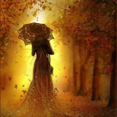 la FORET DE LA BRUGUIERE -gard