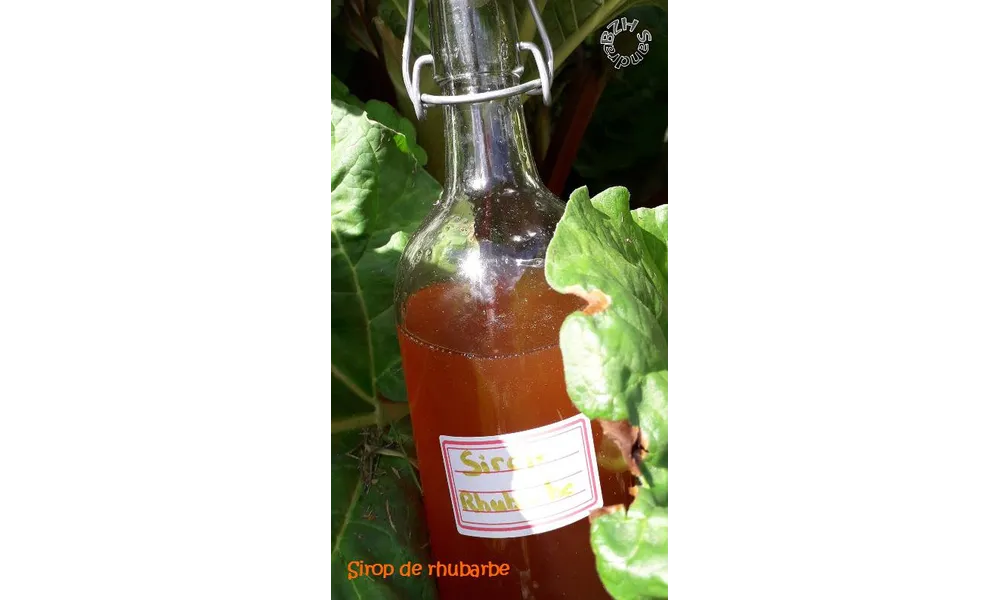 Sirop de rhubarbe