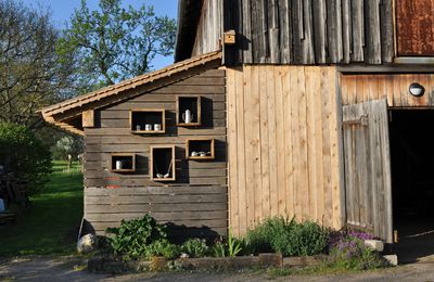 Un nouvel appentis contre la grange