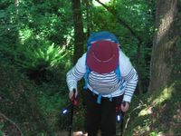 Il parrait que le chemin  est difficile mais ça ne fait que commencer , alors courrage une bière vous attend à l'arrivée