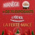 LA FERTE MACé - Marché de Noël