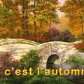 Mais c'est aujourd'hui qu'il s'installe l'Automne ! Je vous avais déjà parlé de lui ...