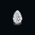 A Magnificent Unmounted Diamond