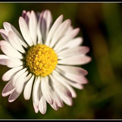 115/365, le 23 Mars 2012