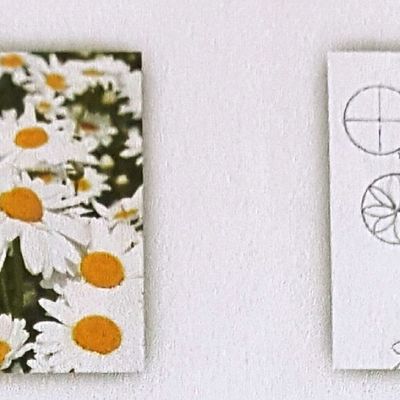 Il giardino di Lorna Bateman – 15a puntata