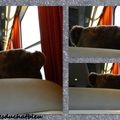 Une rencontre inattendue et improbable dans le train