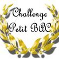 Challenge "Petit Bac"