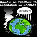 France insoumise et le cannabis