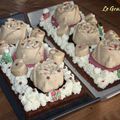 Mes bûches de Noël...Spéculoos, Framboise, Chocolat...