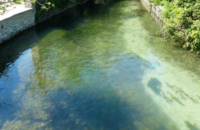 Isle sur la Sorgue - la venise provençale