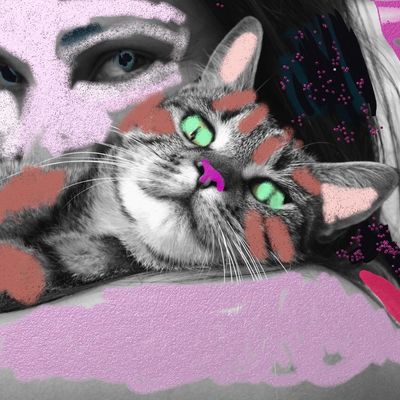 Une nouvelle couverture...parce qu'il y a une marge de progression 