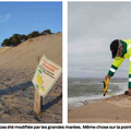 Érosion des plages océanes sur le Bassin